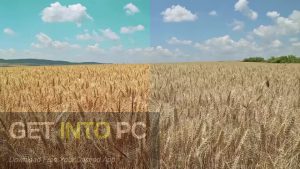 Motion-Array-14-Creative-LUTs-CUBE-Free-Download-GetintoPC.com_.jpg