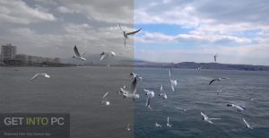 Motion-Array-14-Creative-LUTs-CUBE-Offline-Installer-Download-GetintoPC.com_.jpg