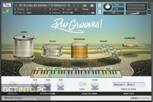 Cinemasamples-Rio-Grooves-KONTAKT-Direct-Link-Free-Download-GetintoPC.com_.jpg